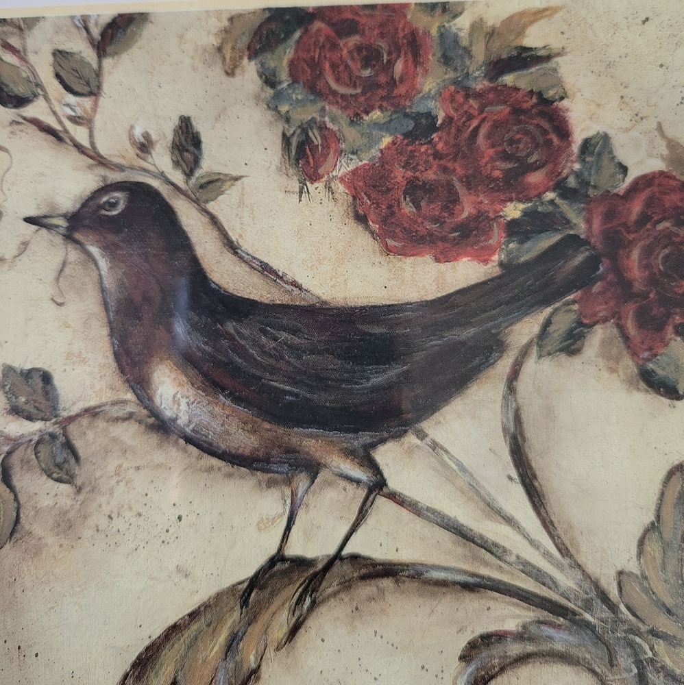 Bird Frame - Picture 11 of 12